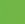 Swatch-Lime