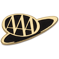 Lapel Pin