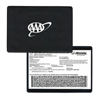 Auto Document Holder